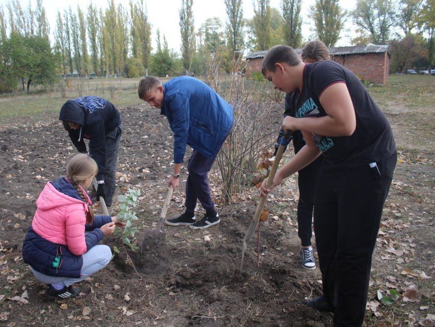 В Курске пройдут общегородские субботники.