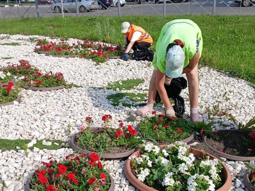 В городе продолжают облагораживать клумбы.