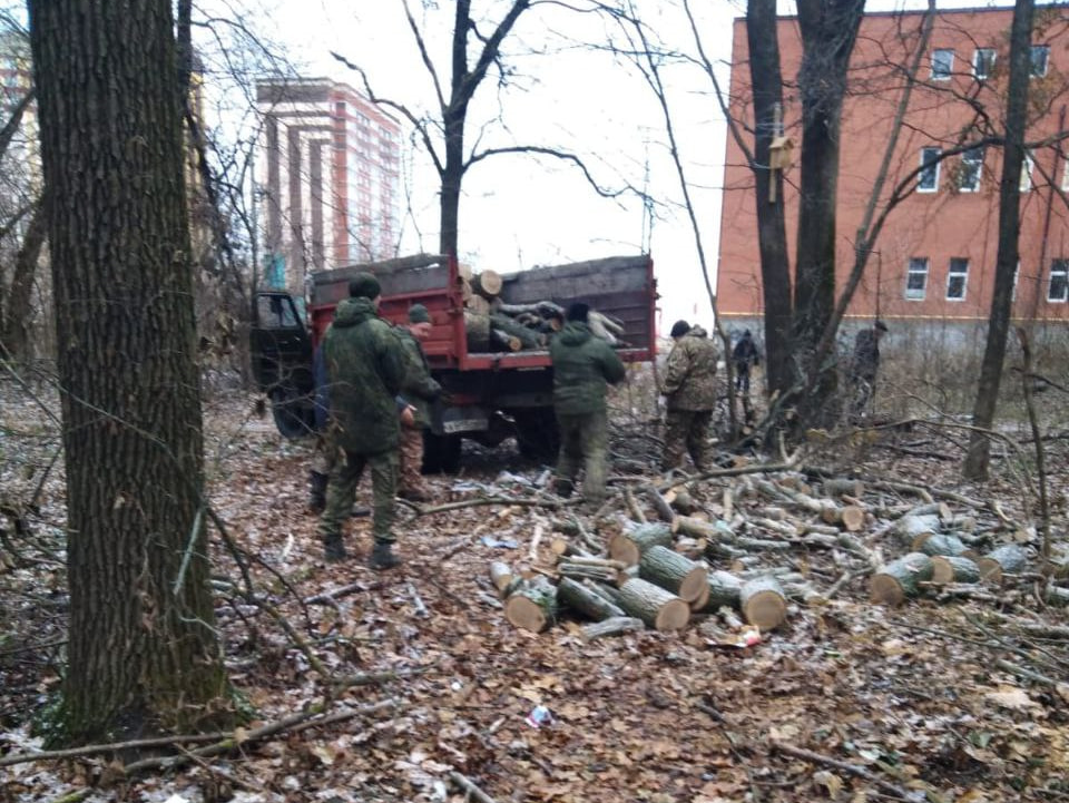 В городских лесах на этих выходных прошла заготовка дров для военнослужащих, принимающих участие в СВО.