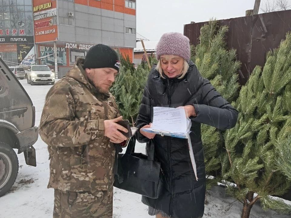 Некоторые предприниматели незаконно торгуют елками.