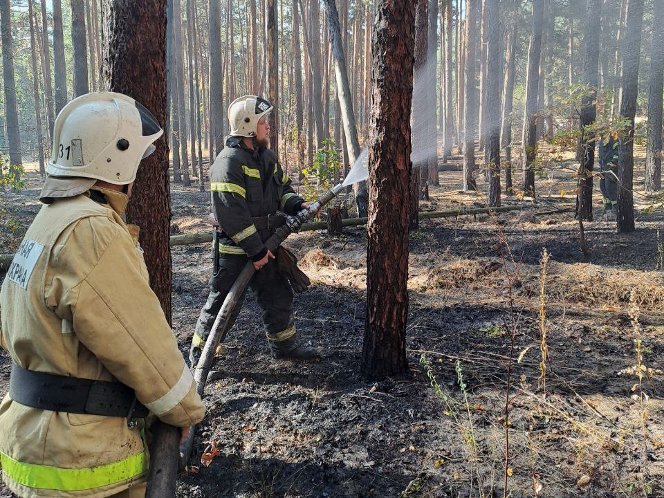 В урочище «Солянка» ликвидировано возгорание на площади 500 кв. м.