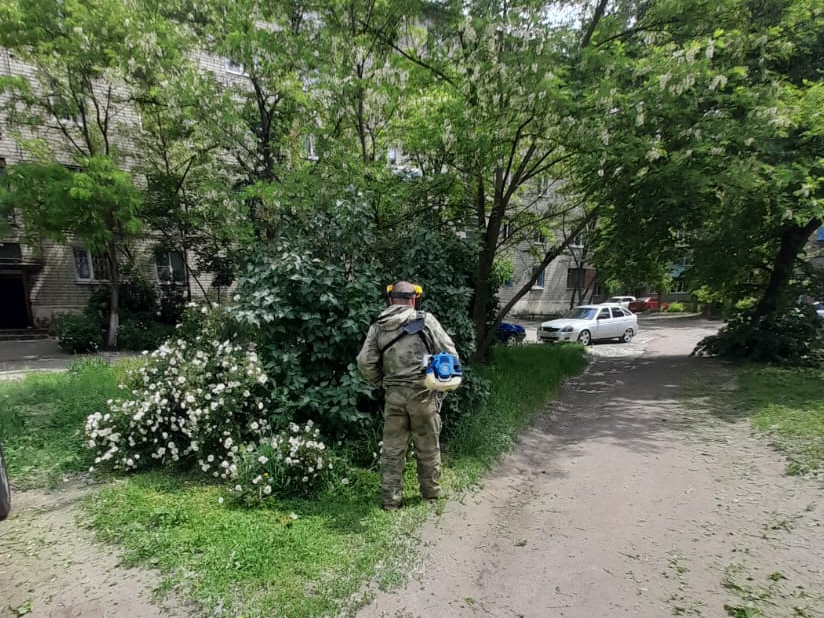 Комиссия по мониторингу объектов благоустройства посетила более 110 дворов. Она проверяла, как управляющие компании и ТСЖ соблюдают правила благоустройства.