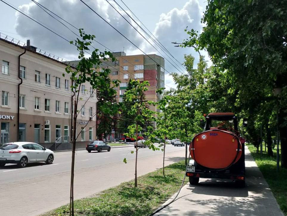 В Курске продолжают заботиться о зеленых насаждениях.