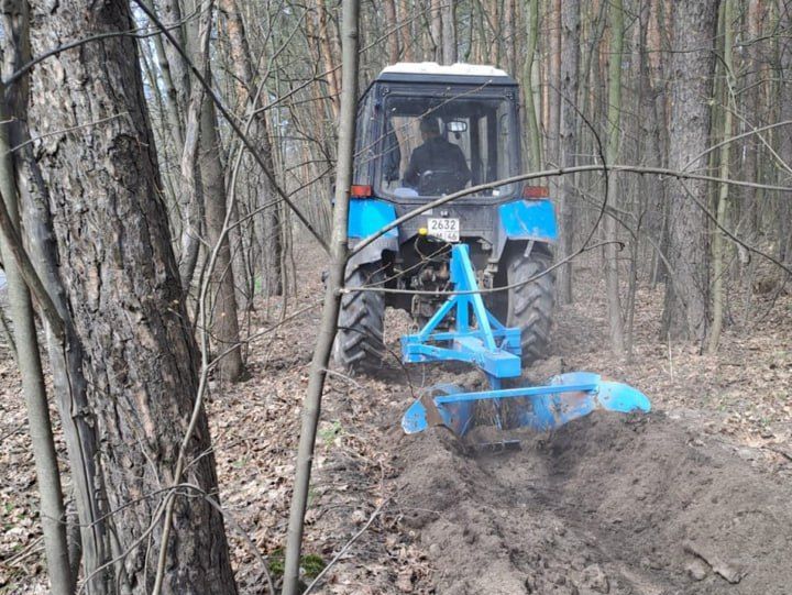 В городских лесах обновляют минерализованные полосы.