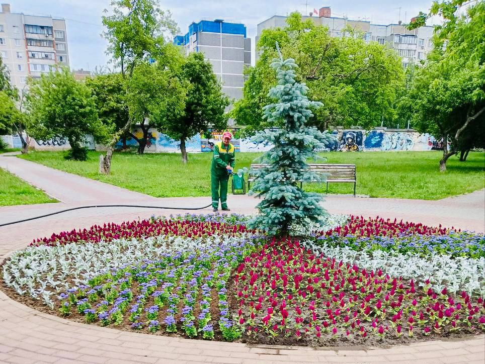 В областном центре высадили почти 15 тысяч однолетних цветов на прошлой неделе.