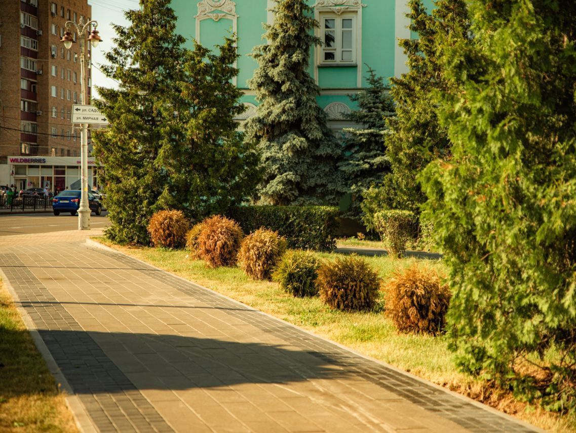 В Курске в сквере на улице Кати Зеленко высадят новые саженцы.