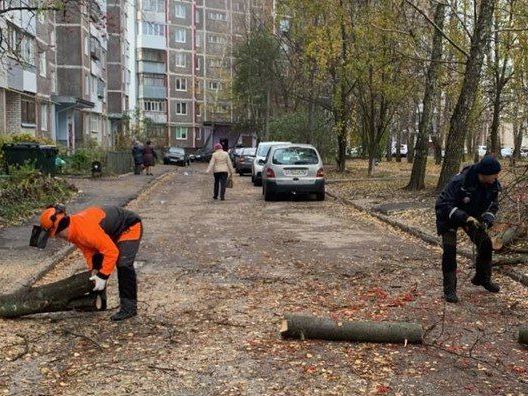 За выходные в Курске выпало более половины месячной нормы осадков, которые сопровождались порывами ветра до 17 м/c.