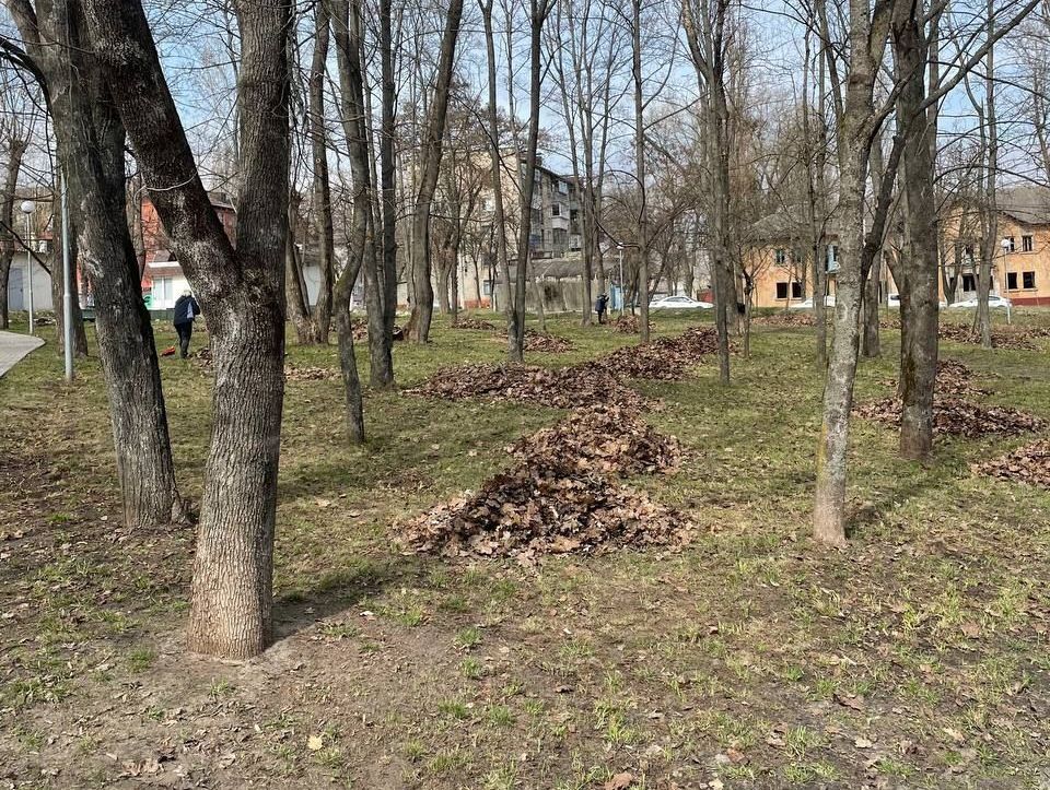 В городе наводят порядок на территории общественных пространств.