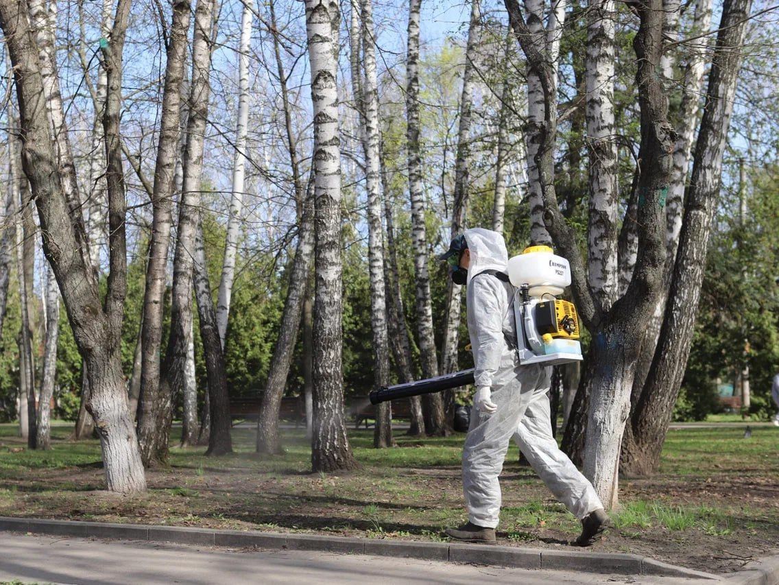 В сквере «Триумф» во второй половине дня пройдет акарицидная обработка.