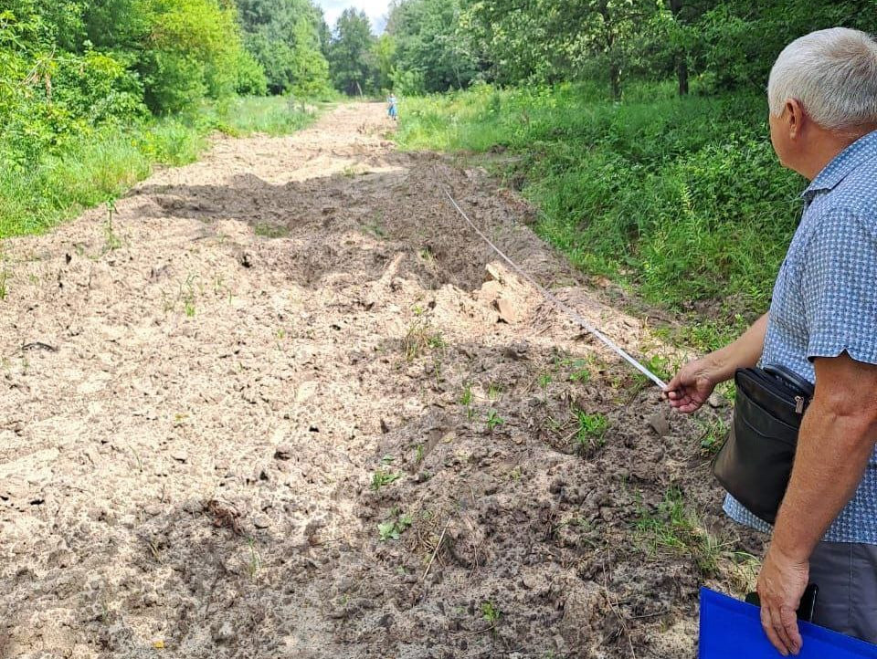 В урочище «Парк» неизвестными уничтожено порядка 5 тысяч саженцев сосен.