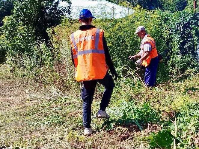 В Курске продолжается покос сорной растительности.