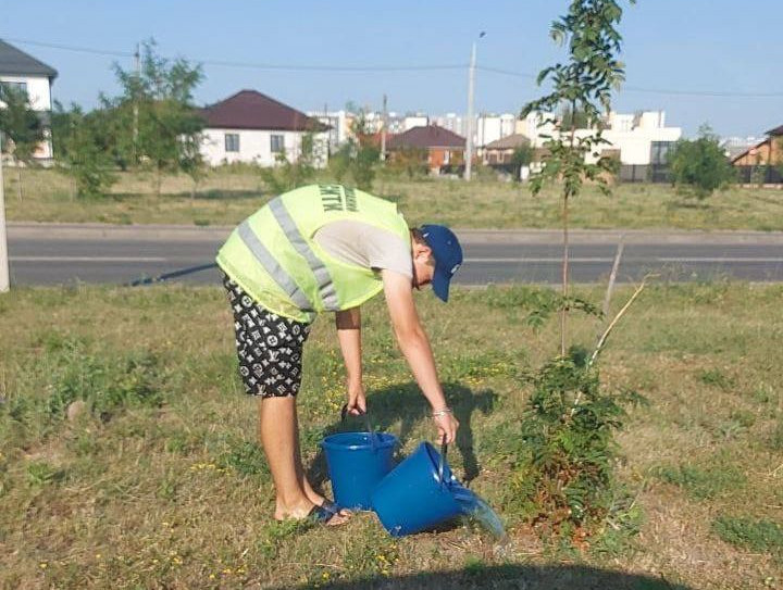 Сотрудники городских служб осуществляют полив растений.