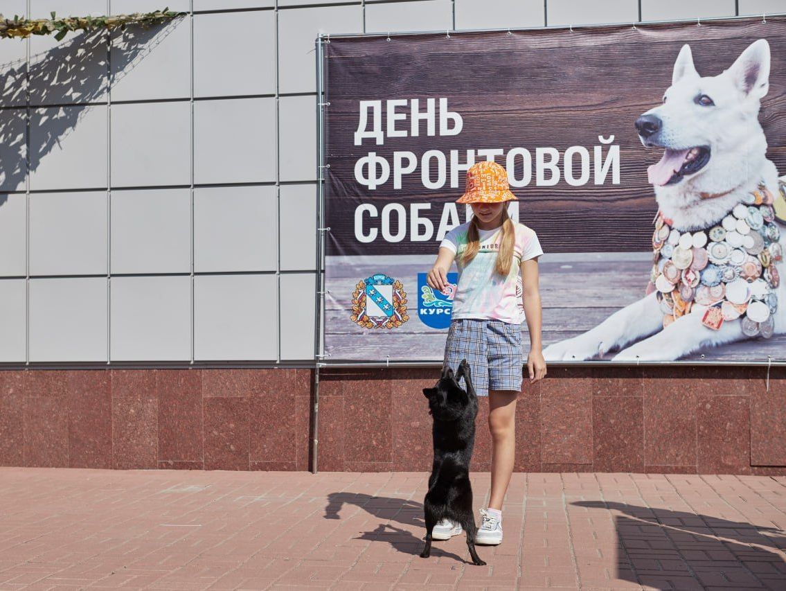 В Центре историко-культурного наследия города провели мероприятие ко Дню фронтовой собаки.