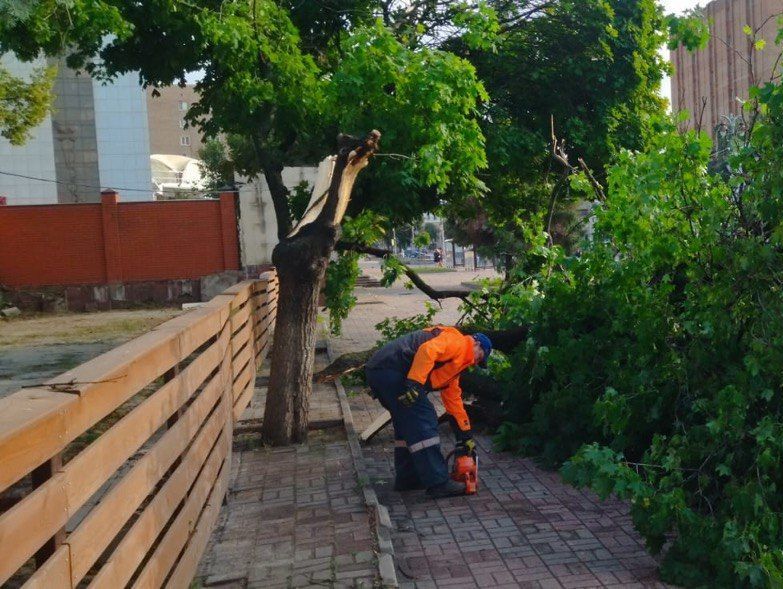 Вчерашний ураган создал много неприятностей для курян.