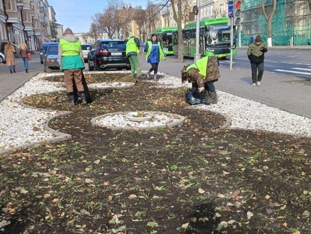 В городе ведутся работы по удалению засохших однолетних растений.