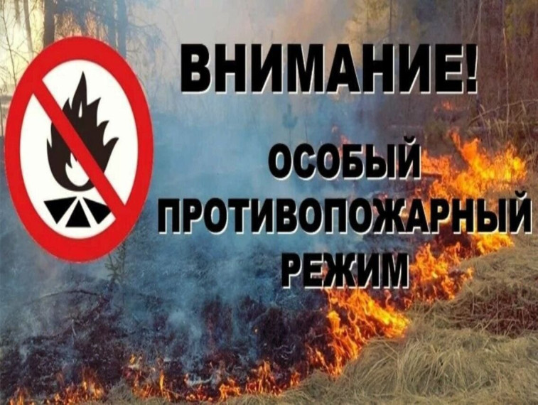 Сотрудники управления ГО и ЧС напоминают курянам о правилах пожарной безопасности. Сотрудники управления ГО и ЧС напоминают курянам о правилах пожарной безопасности.