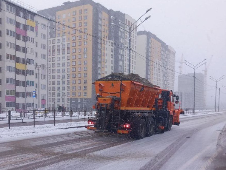 В Курске возобновился снегопад. В Курске возобновился снегопад.